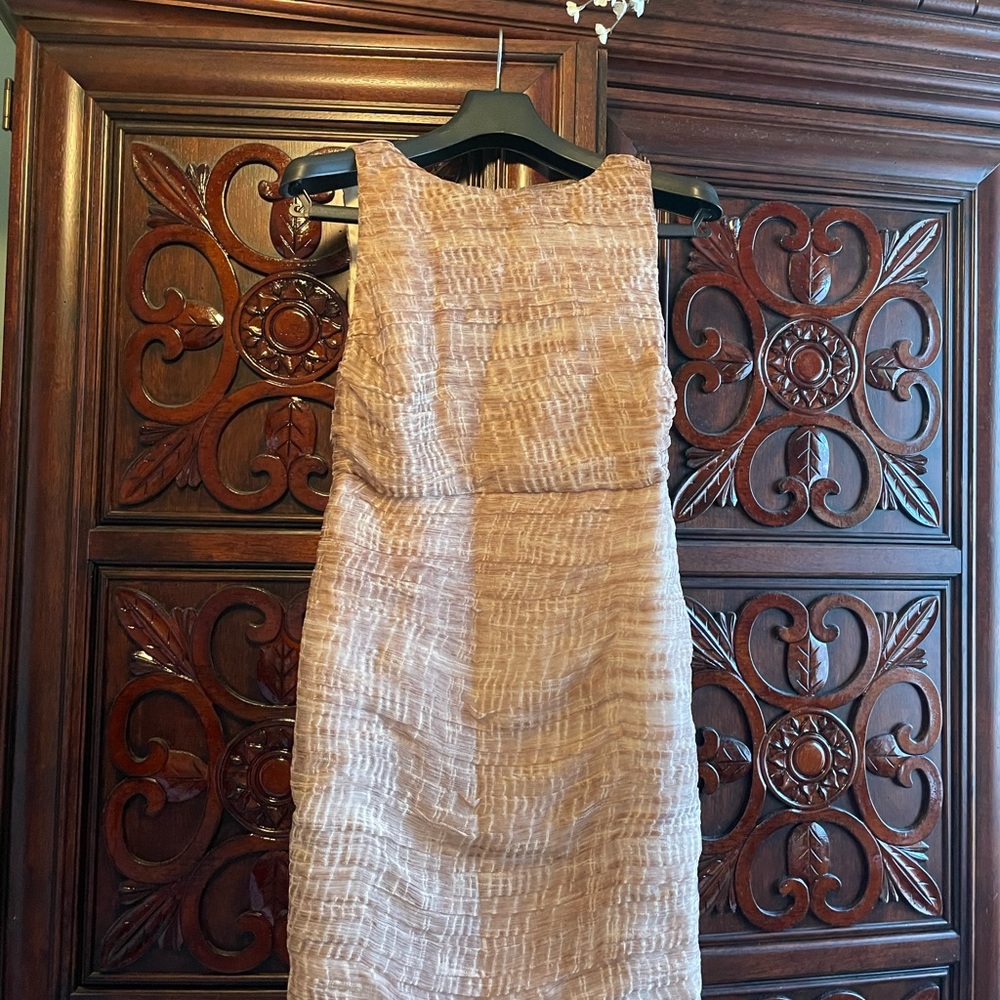 Alice and Olivia beautiful beige dress